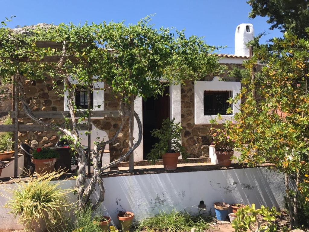Cortijo Nuevo Alojamiento Rural