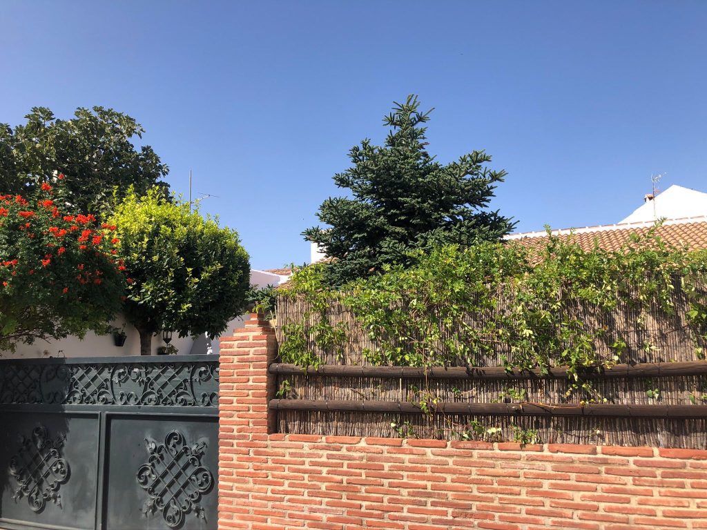 Casa Rural El Pinsapo
