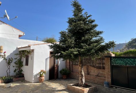 Casa Rural El Pinsapo
