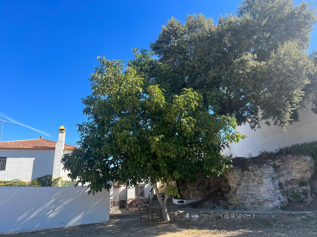 Cortijo Huerta Mandré