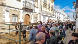 X Jornadas del Campo 2025