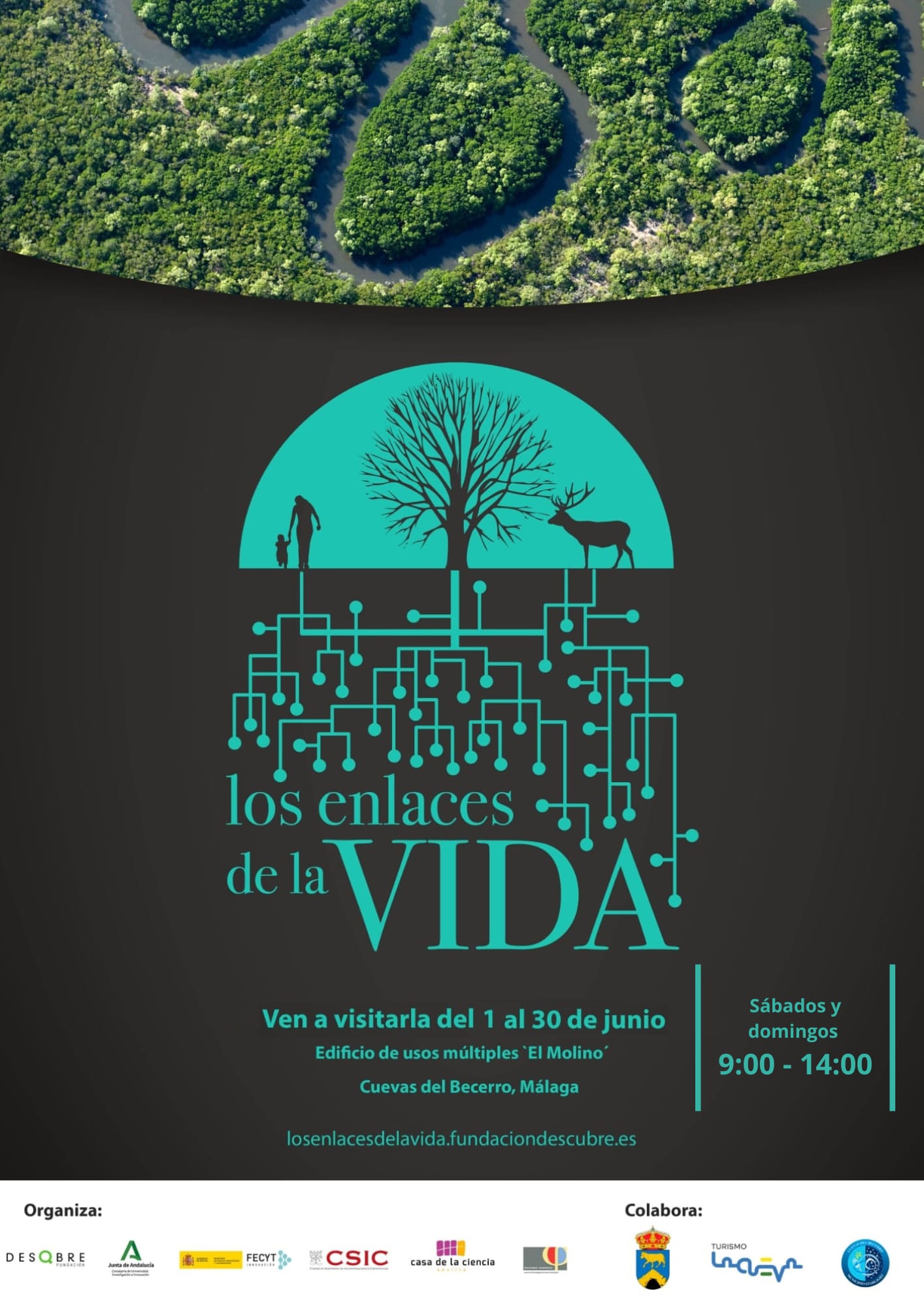 Los enlaces de la vida